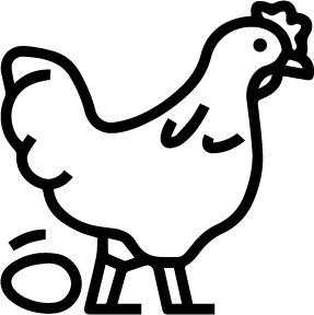 poultry farns - energy future